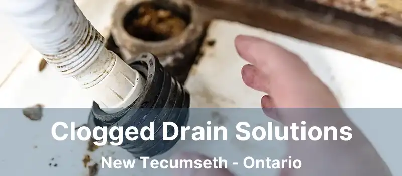  Clogged Drain Solutions New Tecumseth - Ontario