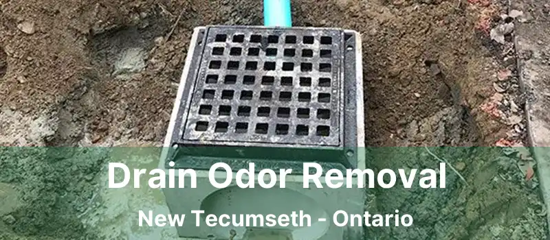  Drain Odor Removal New Tecumseth - Ontario