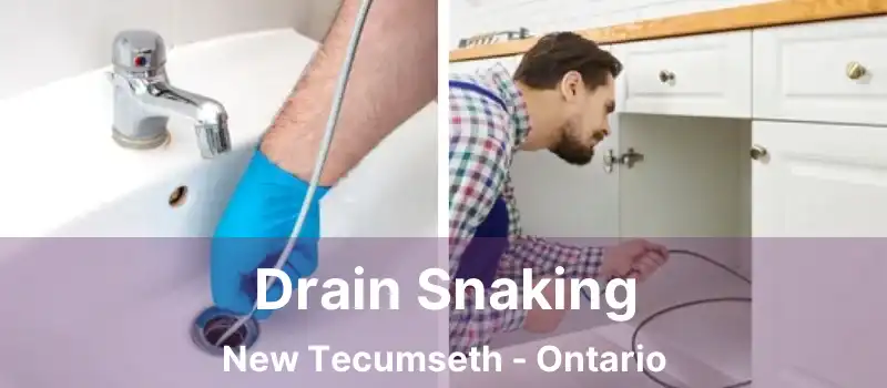  Drain Snaking New Tecumseth - Ontario